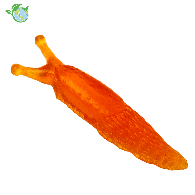 Modell Nacktschnecke