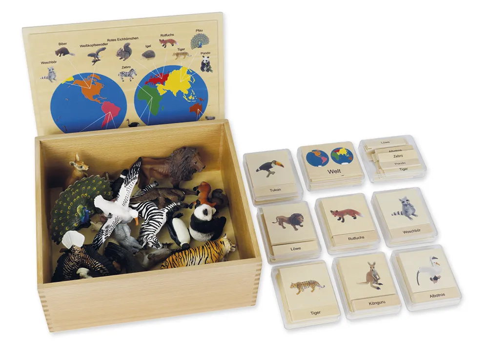 TimeTEX Tier-Kontinent-Box "Montessori Premium"