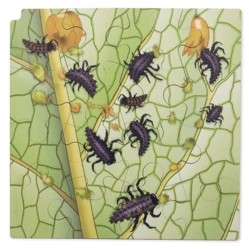 Schichten-Puzzle "Marienkäfer" + gratis APP, 86-tlg.