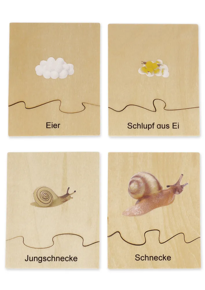 TimeTEX Lebenszyklus einer Schnecke, in Holzbox "Montessori Premium"