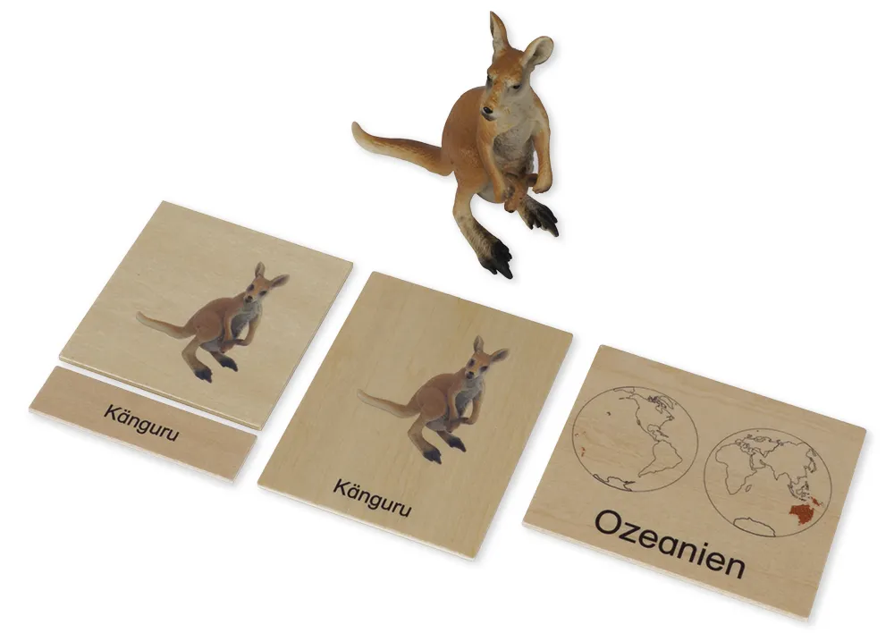 TimeTEX Tier-Kontinent-Box "Montessori Premium"