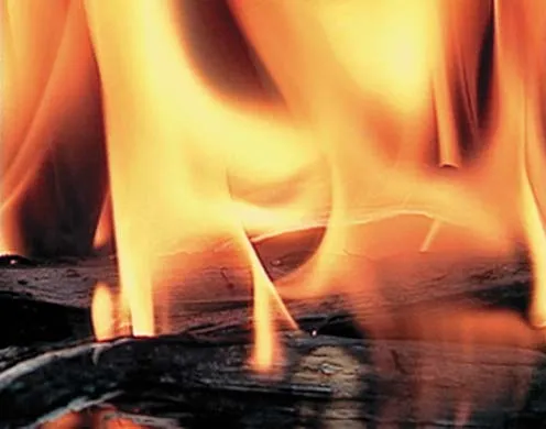 DVD-Lehrfilm Zellatmung