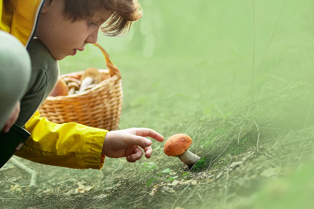 Hagemann_banner_zuchtsets_1200_800_quer