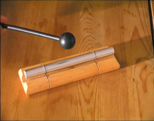 DVD-Lehrfilm Der Mensch: Sinnesorgan Ohr