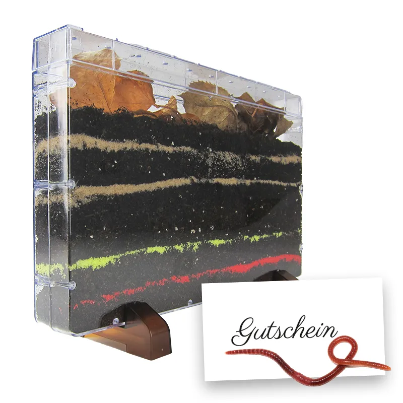 Hagemann Zuchtset Regenwürmer (mit Gutschein, 10-15 Tiere)