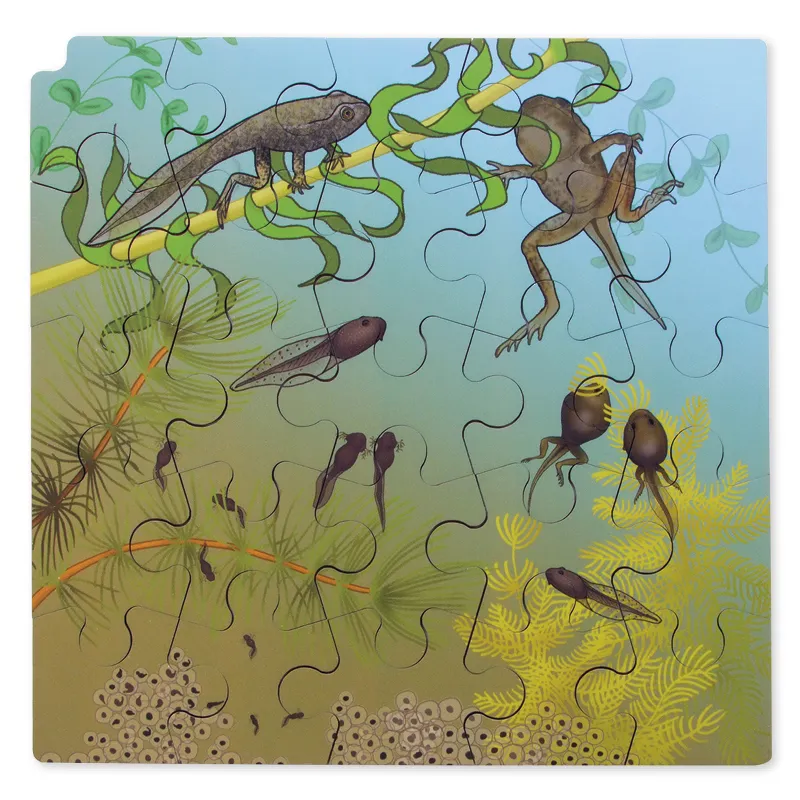 Schichten-Puzzle "Frosch" + gratis APP, 86-tlg.