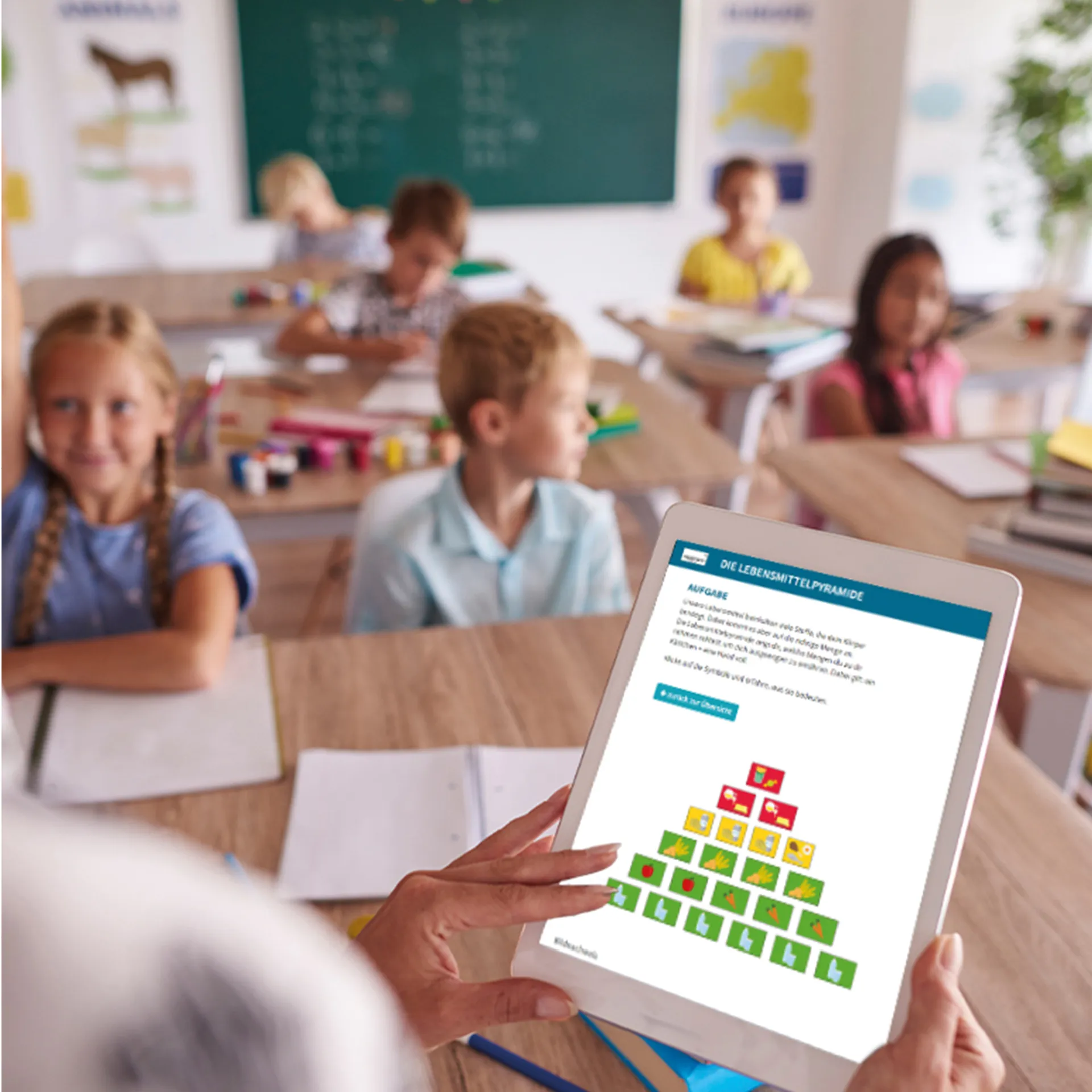 Klassenset Gesunde Ernährung und Mahlzeiten, 470-tlg.