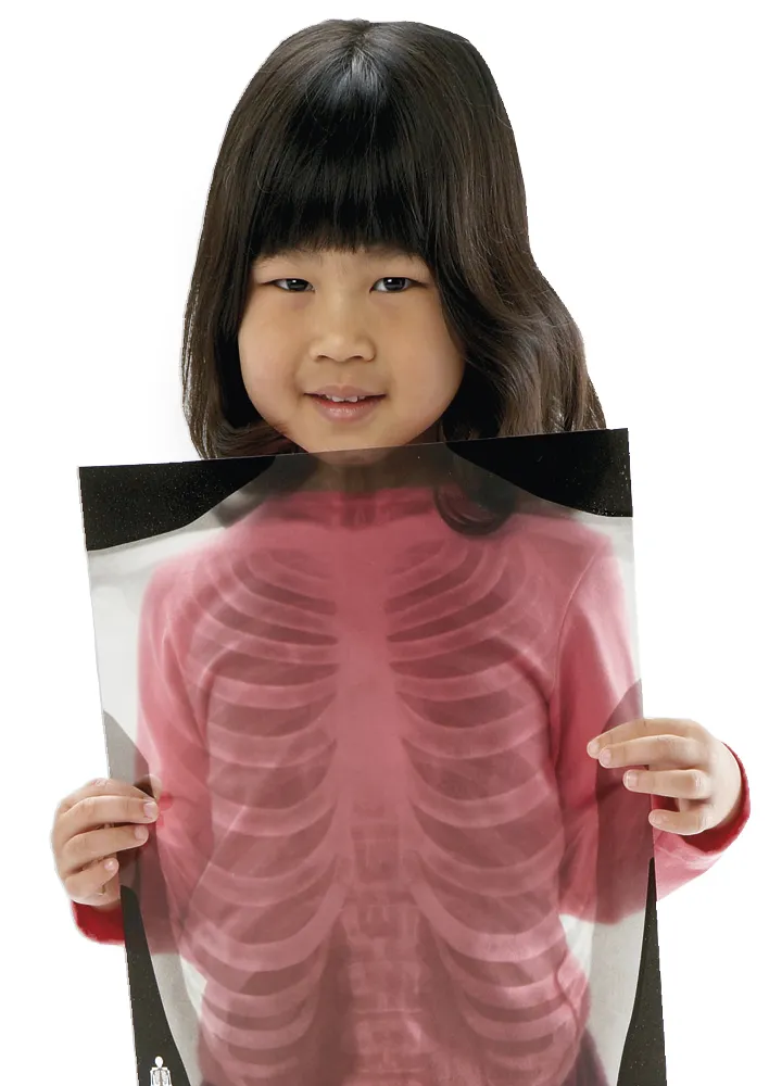 Röntgenbilder Mensch, lebensgroß  (18-tlg.)