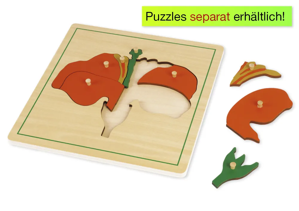 TimeTEX Kasten mit 3 Fächern für die botanischen Puzzles "Montessori Premium"