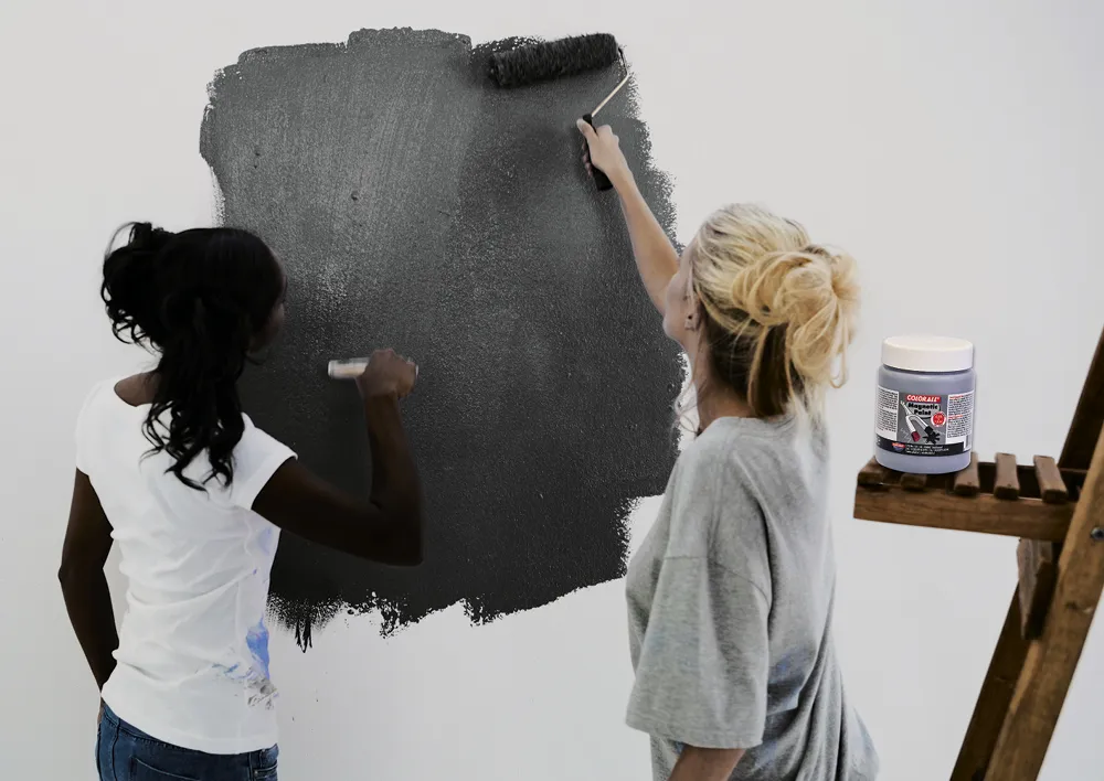 Magnet-Farbe Grau, 250 ml