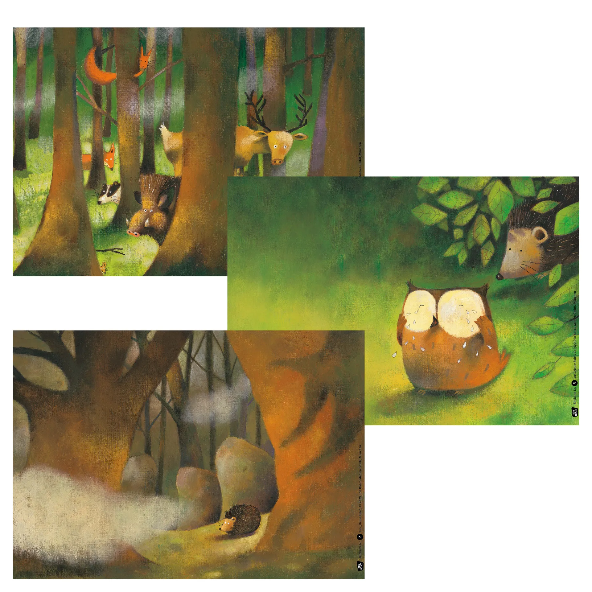 Bildergeschichten-Karten "Heule Eule", 13-tlg.