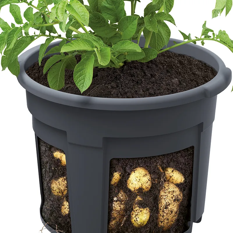 Hagemann Kartoffel Anzucht- und Beobachtungstopf