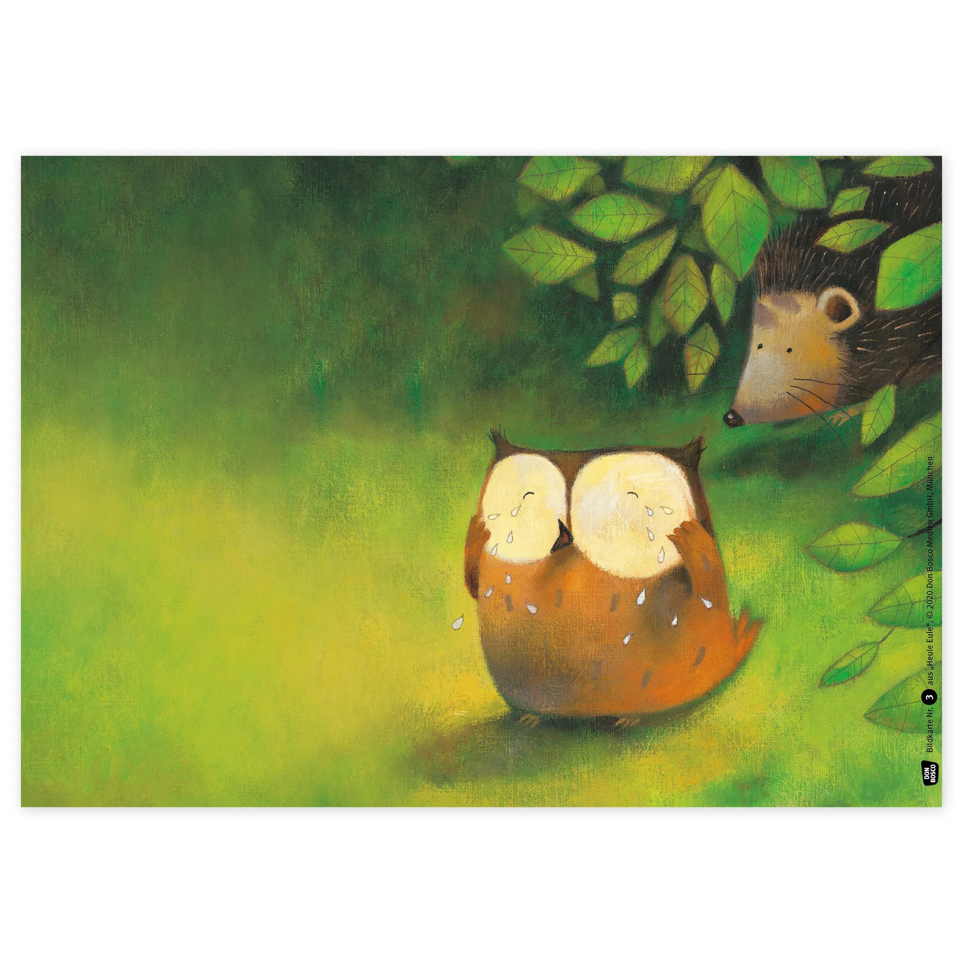 Bildergeschichten-Karten "Heule Eule", 13-tlg.