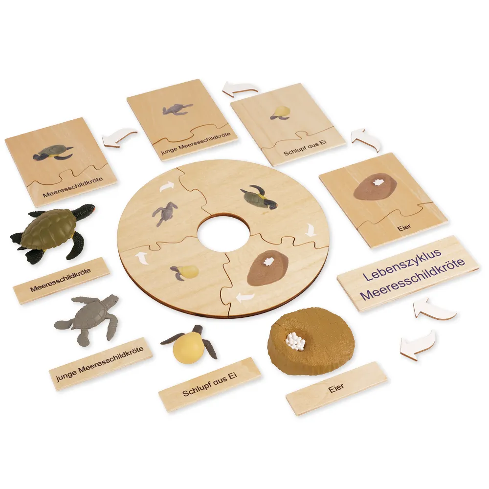TimeTEX Lebenszyklus einer Schildkröte, in Holzbox "Montessori Premium"