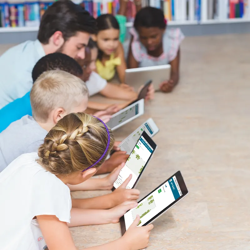 Hagemann Lebenszyklus Marienkäfer (magnetisch)