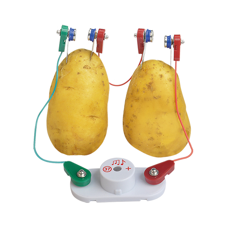 Hagemann Zitronen-Batterie Experimentierset für Kinder