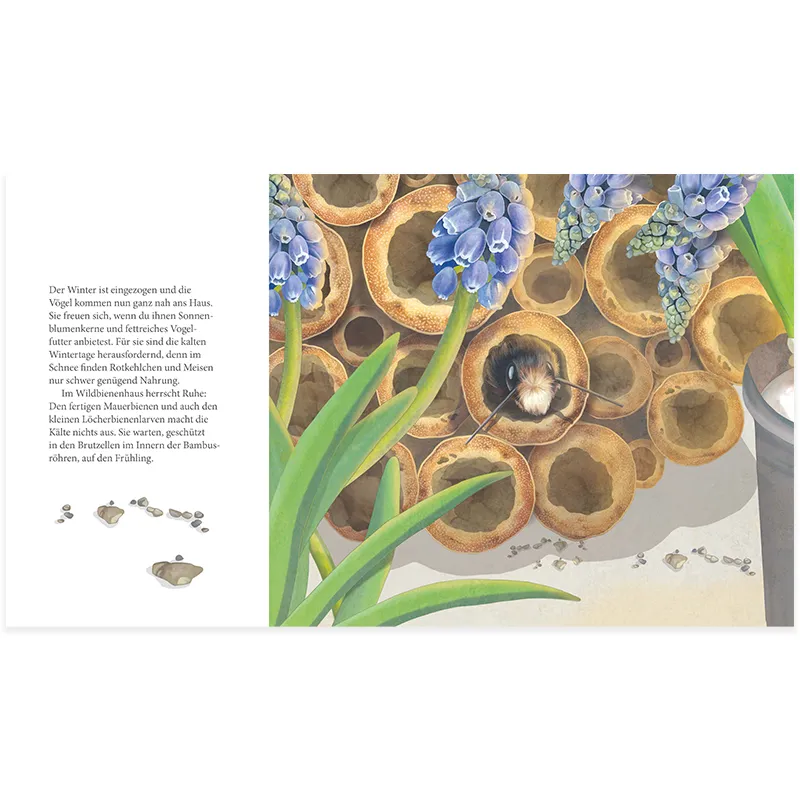 Ich bau dir ein Haus, kleine Wildbiene!