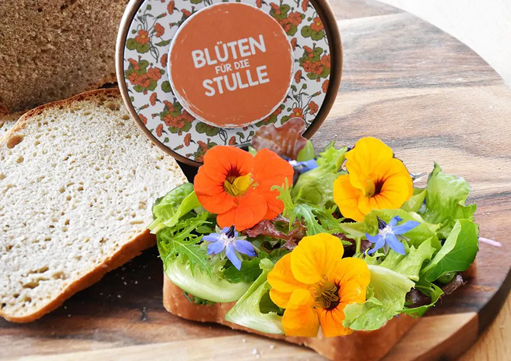 Zuchtset Butterbrot-Blüten