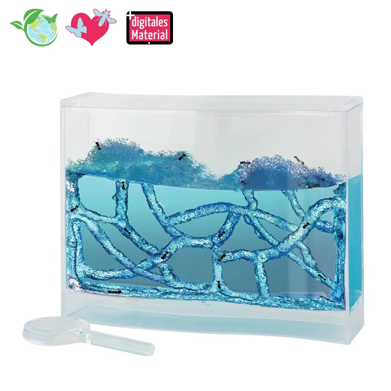 Ameisen Beobachtungsset, 8-tlg.