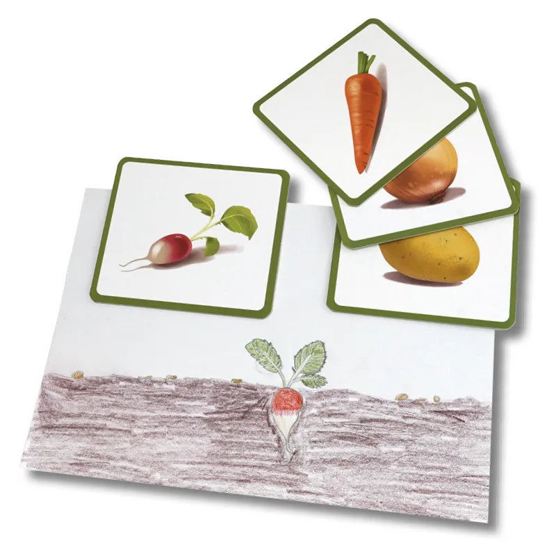 Bildkarten Gemüse, 24-tlg.