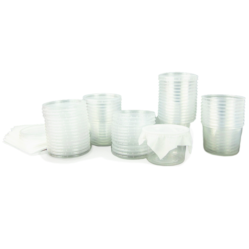 Hagemann Raupen für Klassenprojektset Schmetterlinge (30-35 Raupen)