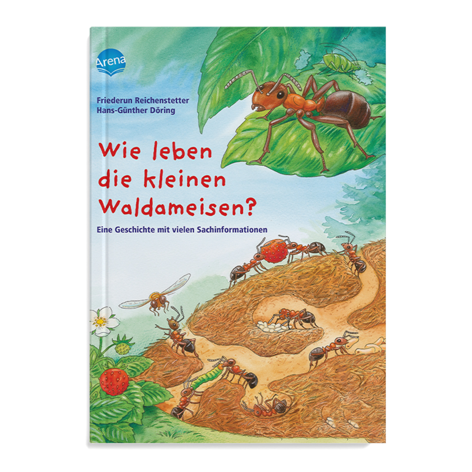 Eine Geschichte mit vielen Sachinformationen – Wie leben die kleinen Waldameisen?