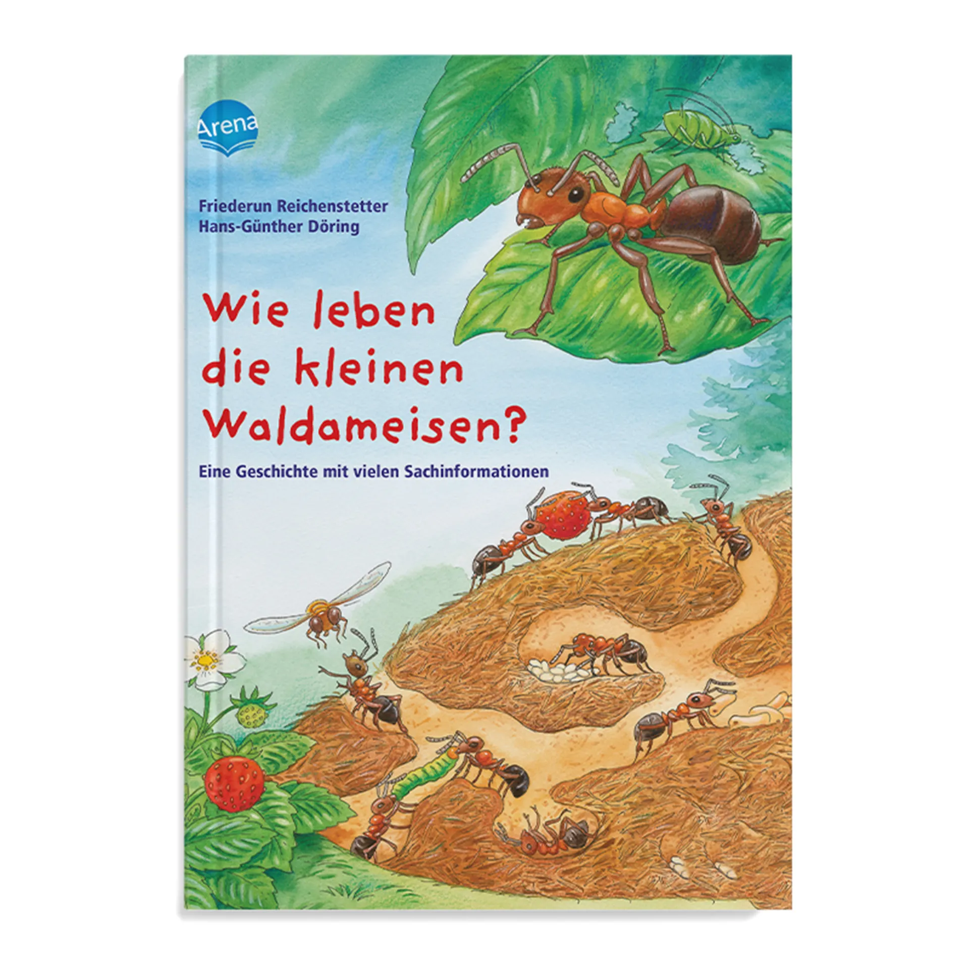 Eine Geschichte mit vielen Sachinformationen – Wie leben die kleinen Waldameisen?