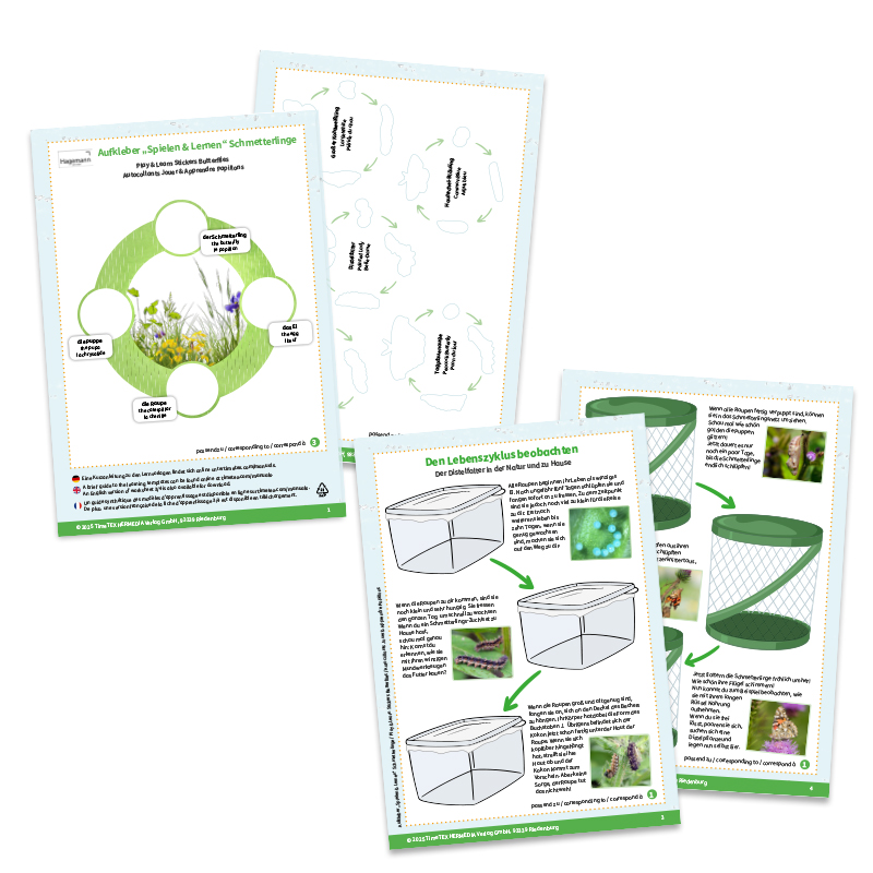 Aufkleber „Spielen und Lernen“ Schmetterlinge, 227-tlg.