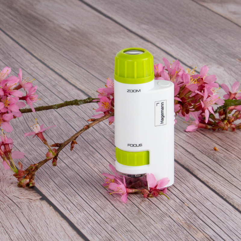 Hagemann Taschenmikroskop, kompakt (60-120-fach)