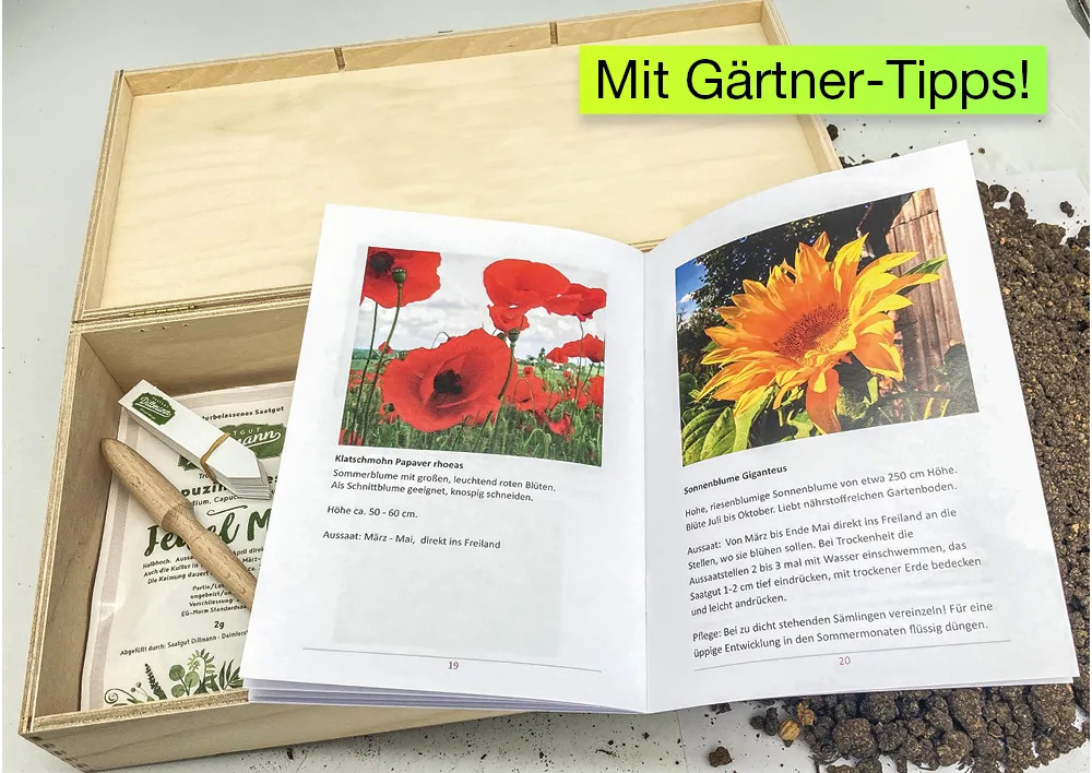 Saatgut-Box "Gartenbox für Kinder", Set 1, 67-tlg.