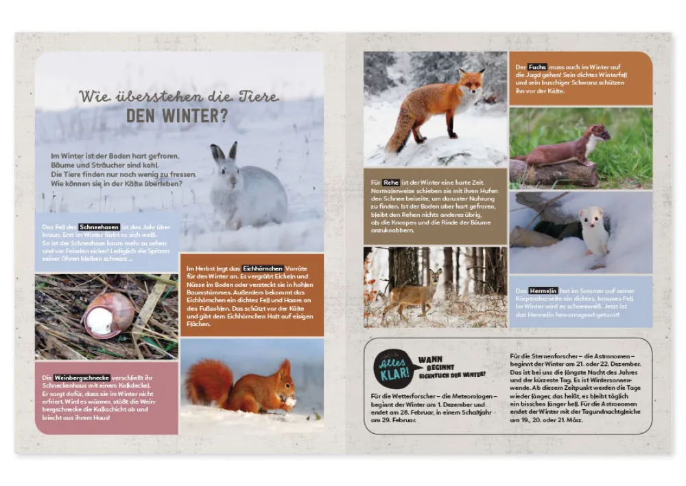 Buch "Mein Sach- und Mach-Winter-Buch", 48 Seiten