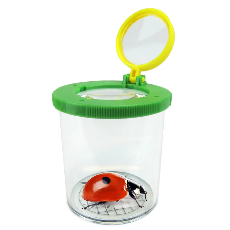 Hagemann Gruppenprojektset Marienkäfer (30-45 Larven)