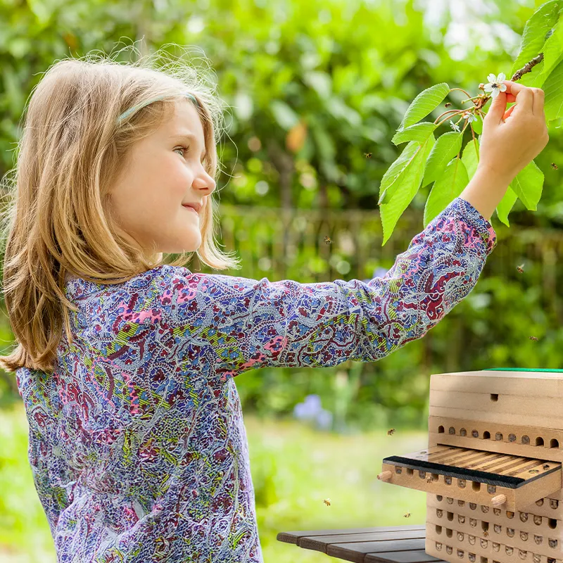 Hagemann Pädagogischer Nistblock mit Beobachtungsschublade