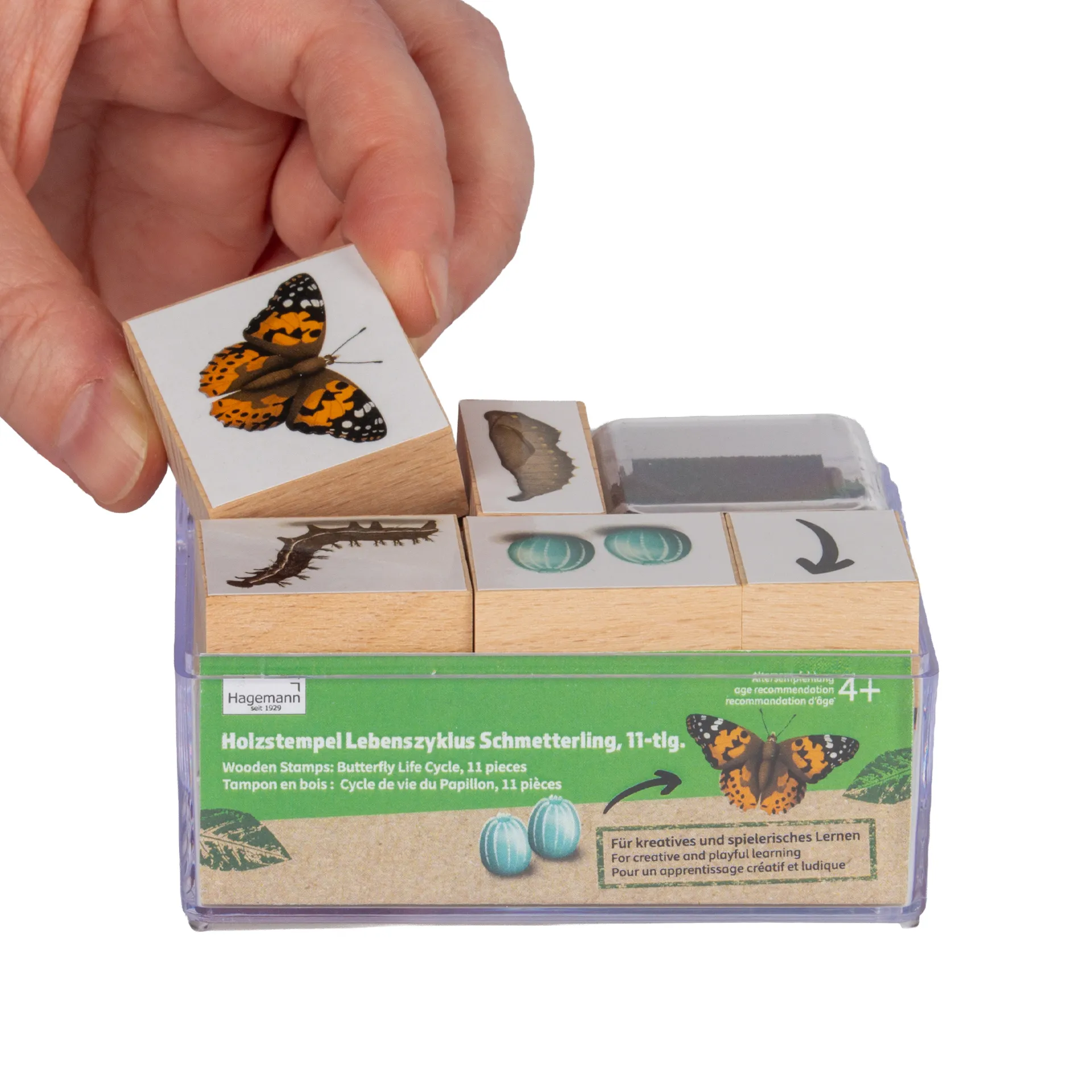Hagemann Holzstempel Lebenszyklus Schmetterling mit Stempelkissen, 11-tlg.