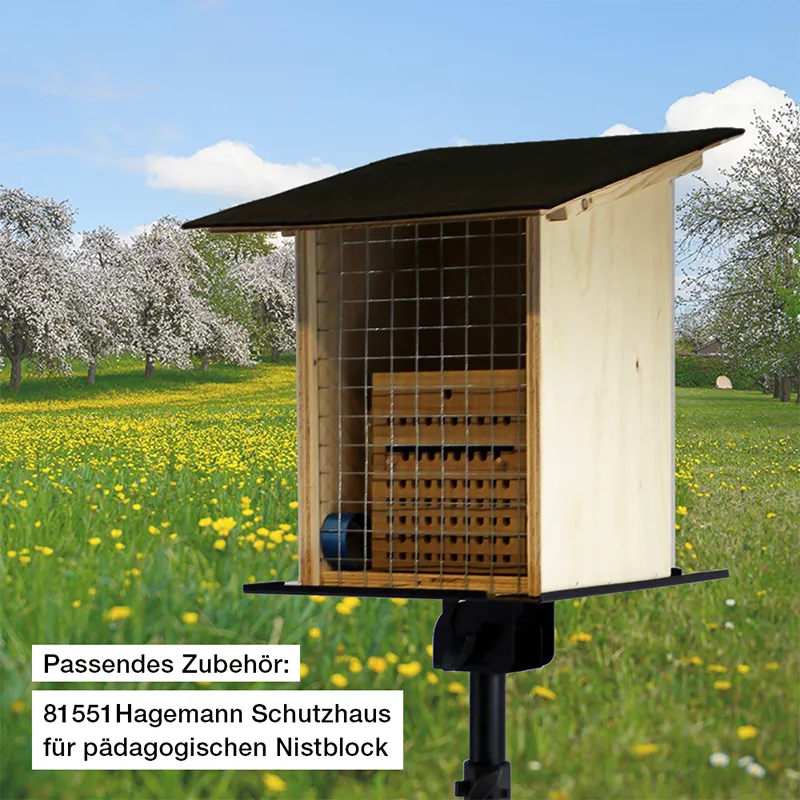 Hagemann Zuchtset Wildbienen, Rote Mauerbiene (mit 50 Kokons)