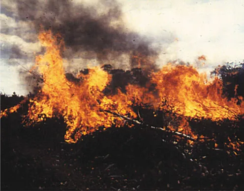 DVD-Lehrfilm Die tropischen Regenwälder