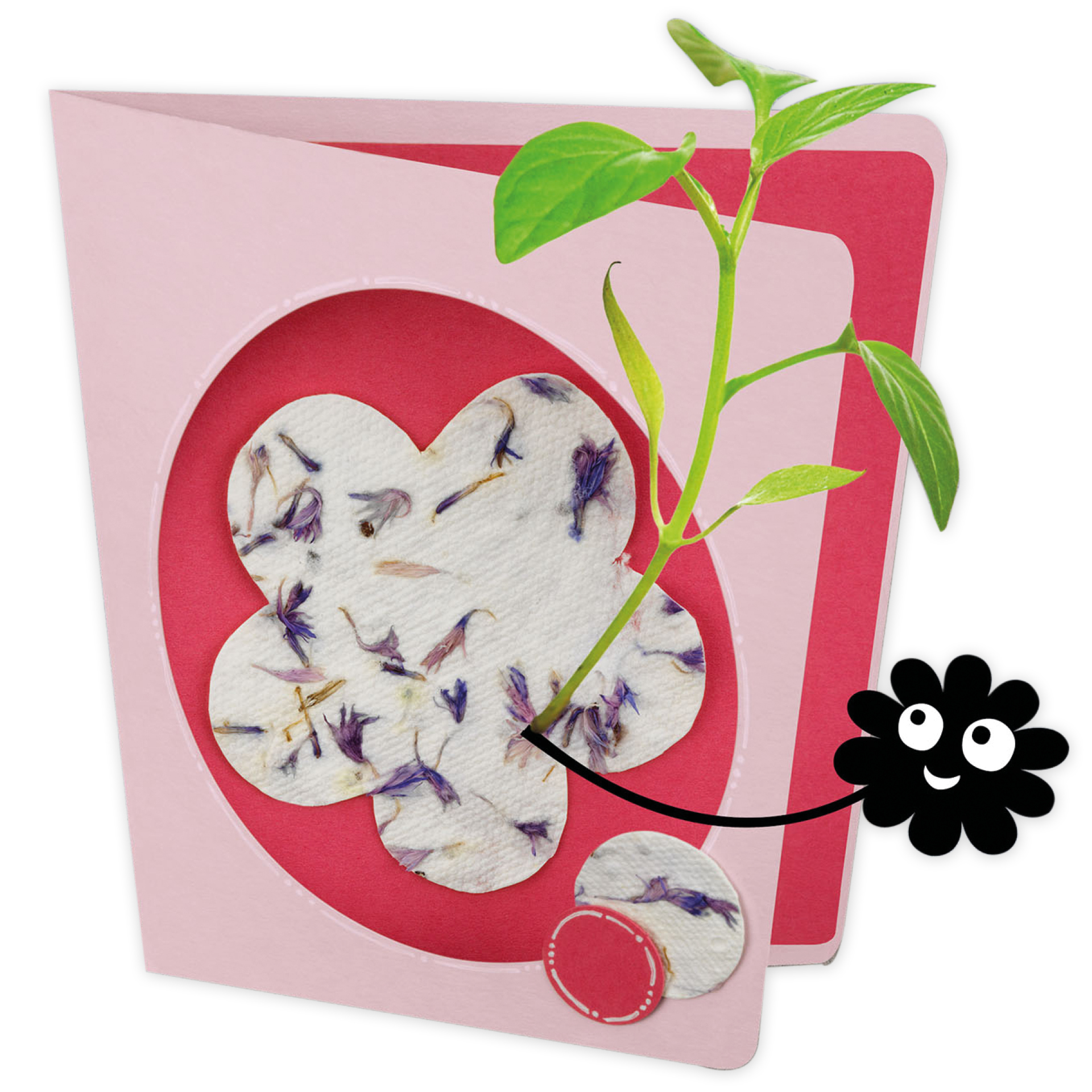 Experimentierset: Blühendes selbstgeschöpftes Papier aus Altpapier