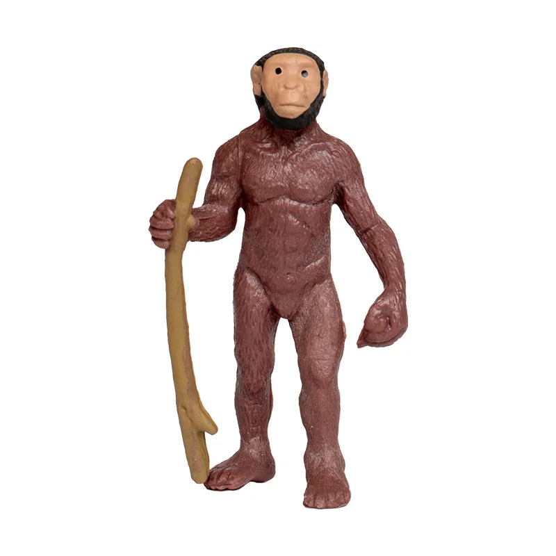 Hagemann Entwicklung des Menschen (Evolution, Modelle), 5-tlg.