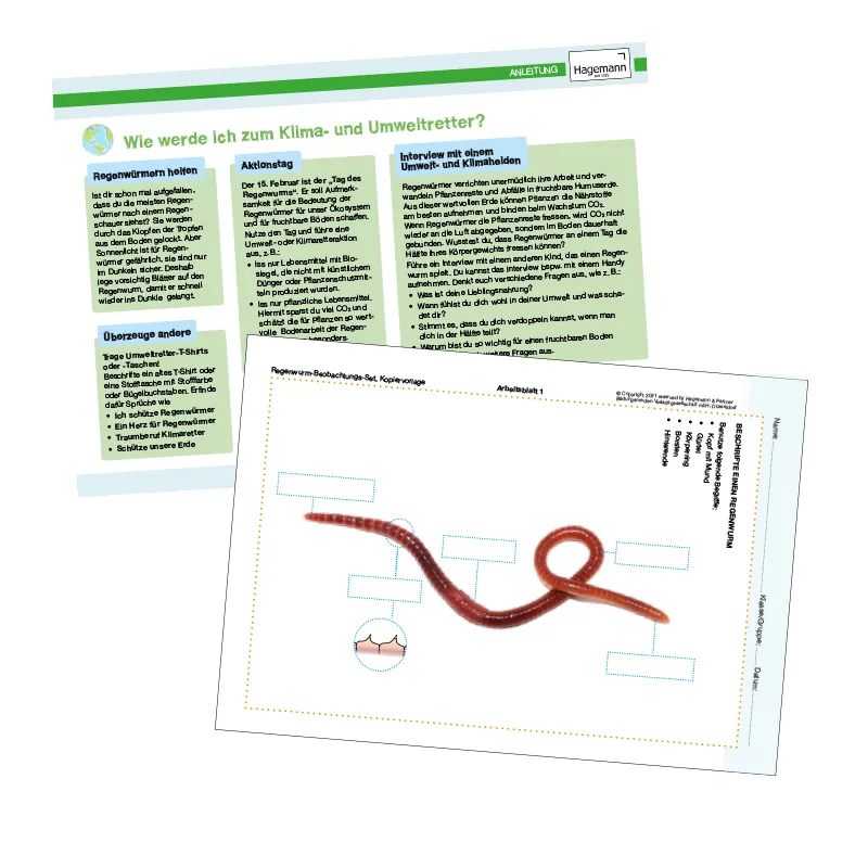 Hagemann Zuchtset Regenwürmer (mit Gutschein, 10-15 Tiere)