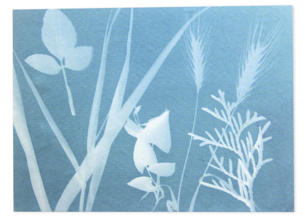 Foto-Solarpapier (40 Blatt)