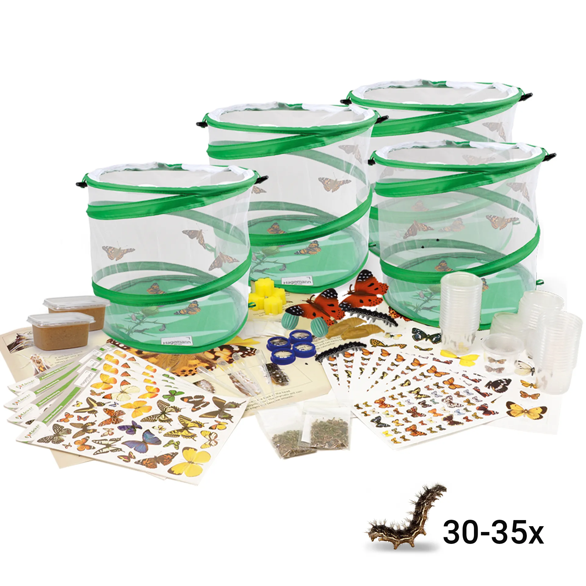 Hagemann Klassenprojektset Schmetterlinge (30-35 Raupen)