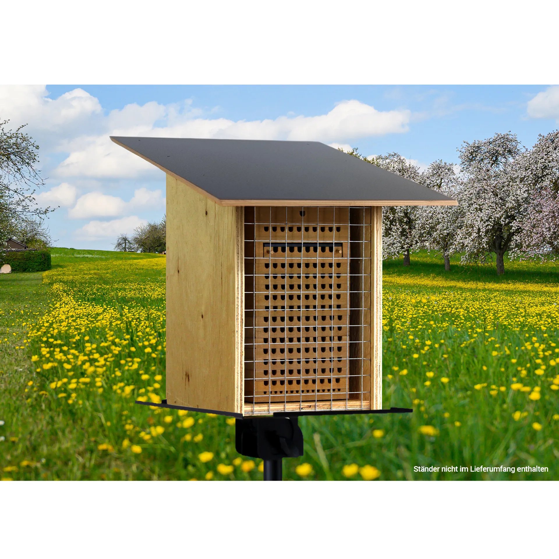 Hagemann Gruppenprojektset Wildbienen, Rote Mauerbiene