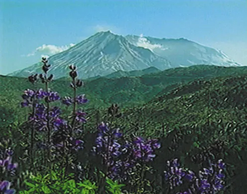 DVD-Lehrfilm Einführung in die Geografie