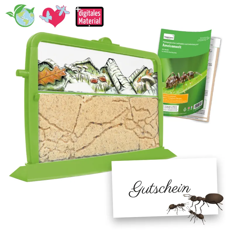 Hagemann Zuchtset Ameisen (mit Gutschein für Ameisenstaat)
