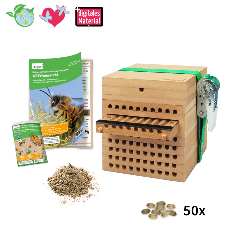 Hagemann Zuchtset Wildbienen, Rote Mauerbiene (mit 50 Kokons)