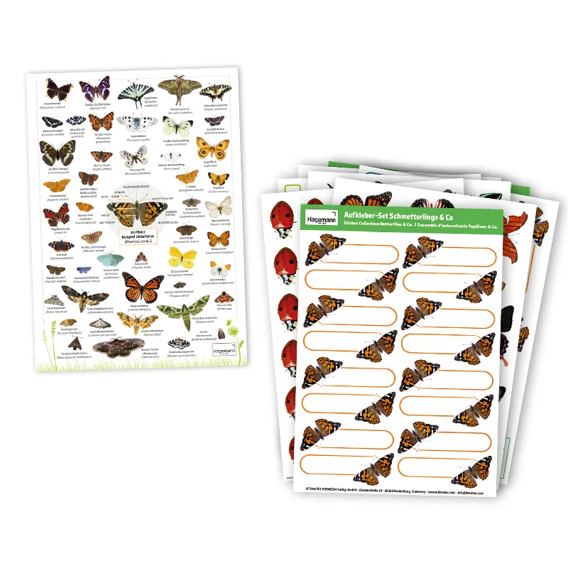 Hagemann Schmetterlings-Zuchtset, kompakt (mit Gutschein, 5-7 Raupen)