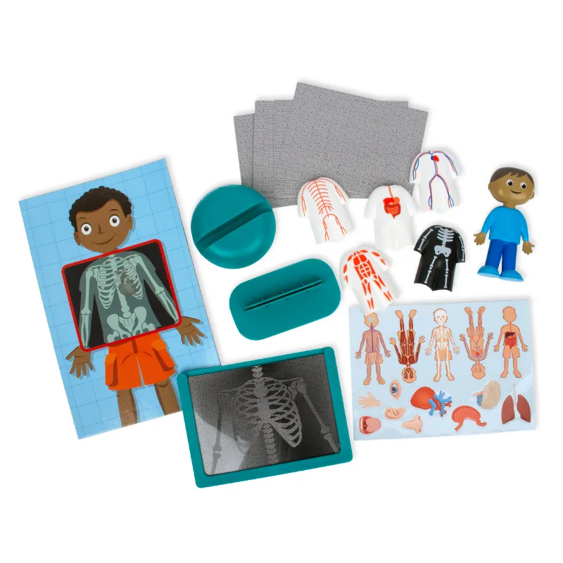 Der Menschliche Körper, Steck-Set, 17 tlg.