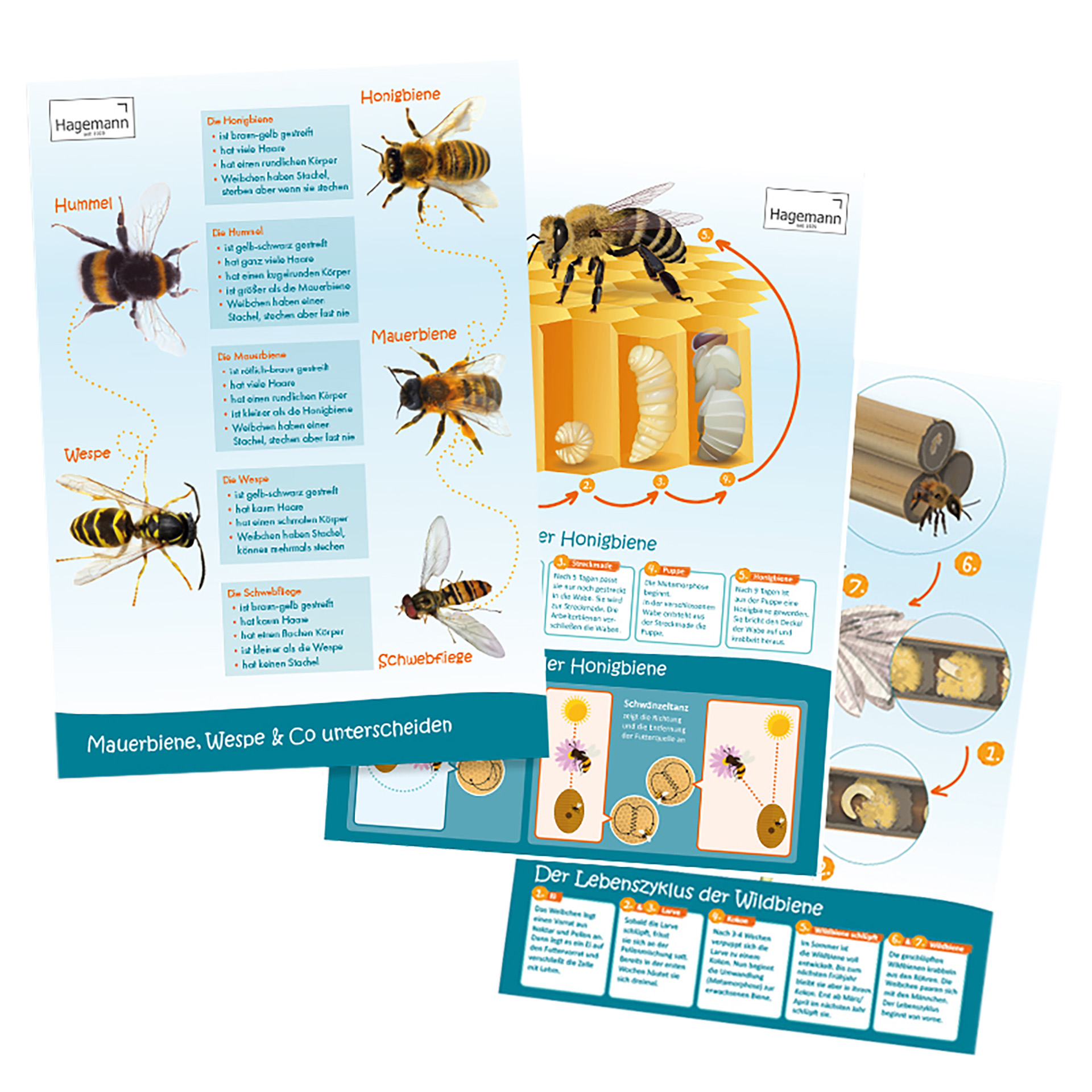 Sparset Bienenposter, 3-tlg.