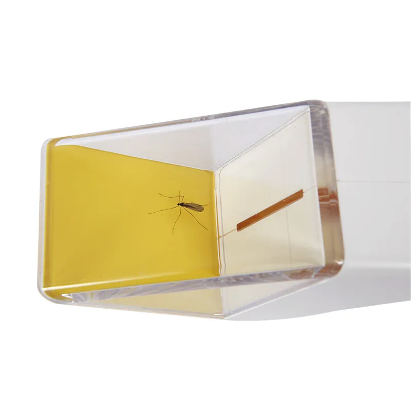 Snapy Insektenfänger