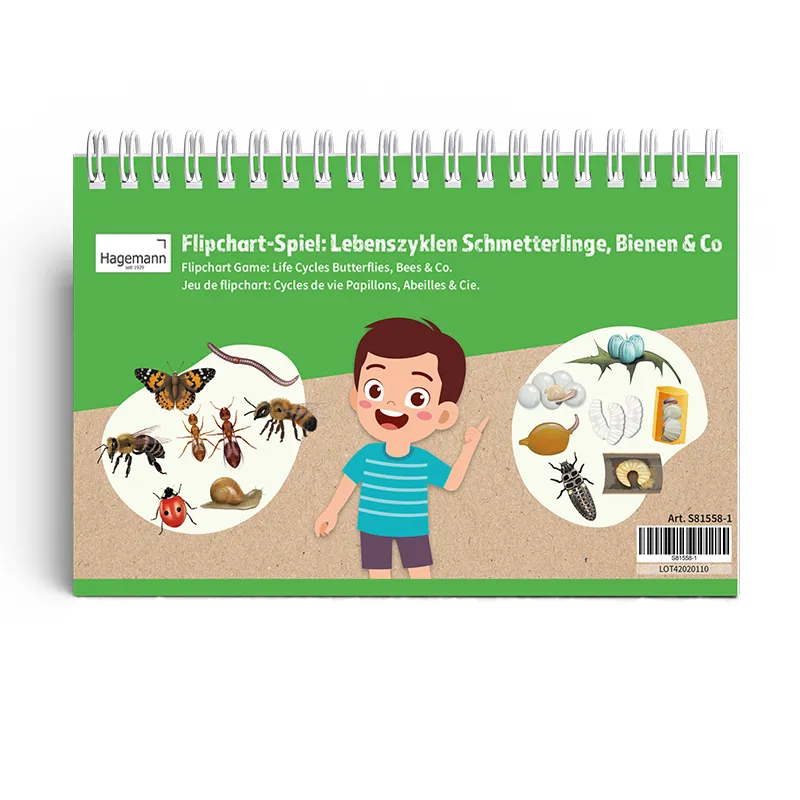 Hagemann Flipchart-Spiel Lebenszyklus Schmetterlinge, Bienen & Co